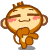 BoxMonkey_76